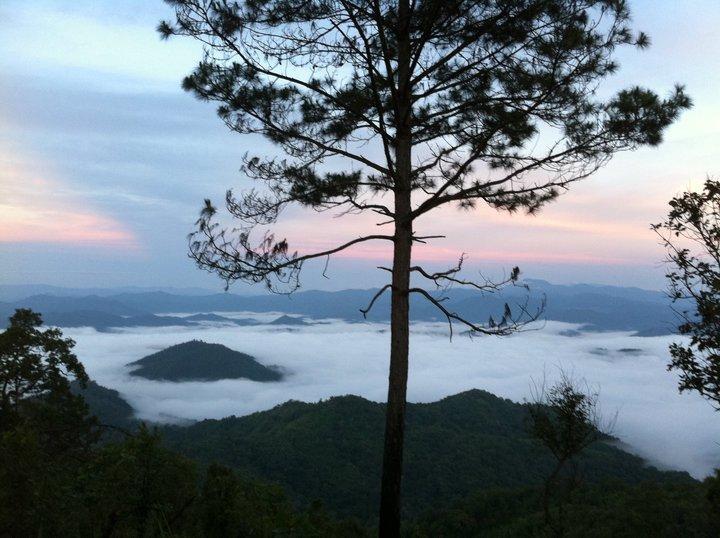 Phu Mork Dao Resort Pong Yaeng Exteriér fotografie